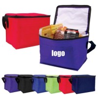 Non Woven Cooler Bag  Customize Wholesales Promotion Imprint Portable Large Insulated Beer Can Bottl