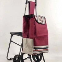 Wholesale Multi Functional Supermarket Shopping Trolley Carts with Chair