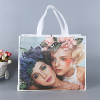 Cheap Laminated Non Woven Recyclable PP Shopping Tote Handle Eco Environment Friendly Biodegradable