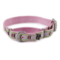2019 Cute Design Durable 2 Layers Colorful Woven Tape and Nylon Strap Training Dog Collar