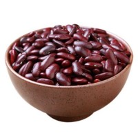 New Top Quality Crop British Dark Red Kidney Bean for Export