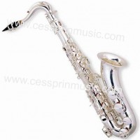 Hot Sell/Tenor Saxophone /Silver Saxophone / Woodwinds /Cessprin Music (CPTS103)