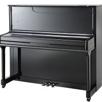 Musical Instruments Black Upright Piano (E2-121) Schumann