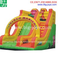 Promotion Giant Colorful Custom Inflatable Slide (007)