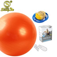 Fashion Sport Hot Printing Exercise 3*6*9 PVC Foam Yoga Ball