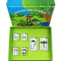 Nursery School Educationa Science Learning Toy  Kids Classroom Educationteaching Specimen for Kinder