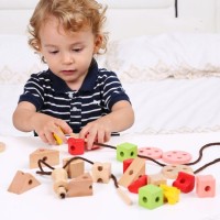 Wooden Children Lacing Beads Geometric Shape Cartoon Pattern Block Threading Educational Toy