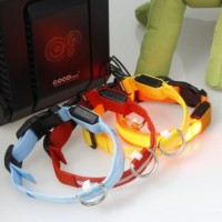 LED Pet Collar Rechargeable