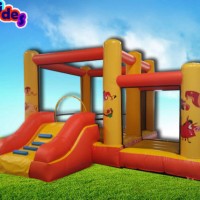 Hot Sale Lion King Inflatable Bouncer Bounce House Jumping Castle For Kids