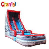 Hot Grey Inflatable Water Slide for Kids Inflatable Slide