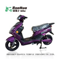 2020 Two Wheel 60V 450watt Electric Bike Similar to Motorcycle for Adult