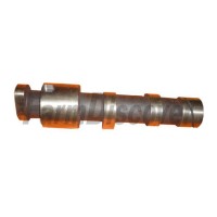 195-02002 Camshaft for Sifang Diesel Engine S195