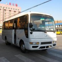 Commercial Buses