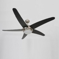 Ceiling Electric Fan with Lamp