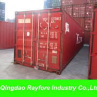 Brazil/ Mexico/ USA/Canada Storage 40FT 40hc Container (RAY STO-039)