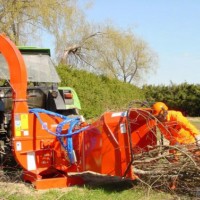 Tree Branch Chipper/Wood Chipper for Sale
