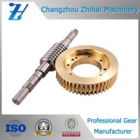 Precision Copper Worm Gear and Stainless Steel Worm Wheel