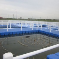 Best Choice for Fish Cages with Pontoon