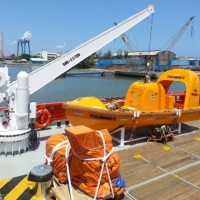 Single Arm Slewing Lifeboat/Raft Davit/Launching Appliance&Crane