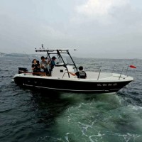 24FT Hot Sale FRP Sea Boat for Fishing