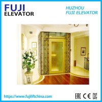FUJI Home Villa Passenger Elevator with Machine Room From China Manufacturer