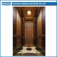 Hitachi Gearless Mr Wooden Mirror Stainless Steel Home Lift Passenger Elevator