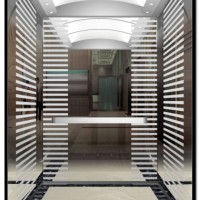 Safe and Stable Home/Villa Lift Passenger Elevator