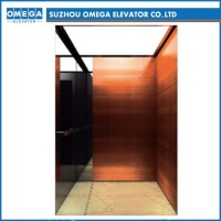 Hitachi Wooden Mirror Mrl Gearless Stainless Steel Passenger Home Lift Elevator