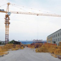 Tip Load Construction Building Machinery Crane