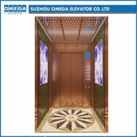 Hitachi Spacious Luxurious Home Lift Passenger Elevator with Ard