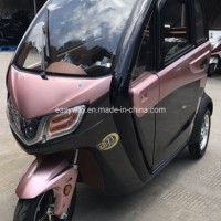 1500W Motor 3- Wheel Cabin Electric Tricycle