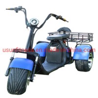 3 Wheel Electric Scooter City Coco Tricycle 3 Wheel Electric Scooter Fat Tire Golf Scooter