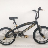 20" Hi-Ten Steel Frame BMX Freestyle Bicycle