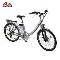 Lithium Battery Lady City Electric Bicycle Dirt Bike Motorcycle