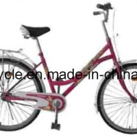 26 Inch Hot Sale Single Speed Bicycle (Zl060536)