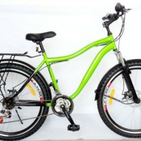 Hot Sale Mountain Bike/MTB Bicycle (FP-MTB-P013)