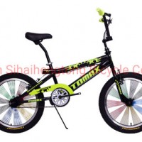 20 Inch Steel Freestyle Bicycle Single Speed