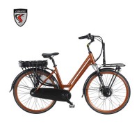 Highly Competitive Hot Sales Price 250W Classic Electric Bike Bicycle City