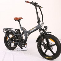 Queene/ Lithium Battery 36V/48V 10ah 250W/500W Electric Bike Fat Tire E-Bike