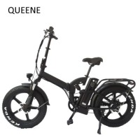 Queene/Electric Bicycle Fat Bike Snow Sand Beach Ebike (En15194)