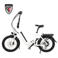 City Ebike Aluminum Alloy Mini Folding E Bike Small Portable Electric Folding Bike for Adults