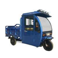 Enclosed Front Cabin Cheap Adult Electric Tricycle with Cargo Cabin