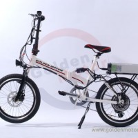 20'' 36V 500W Folding Electric Bike (FEB-600)