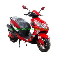 Best Sales & Cheap Price Lithium Battery Electric Scooter & E-Bike