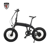 Foldable 20inch Mountain Fat Tire Bicycle with 36V 250W Brushless Rear Bafang Motor