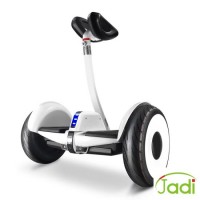Wholesale 10-Inch Self Balance Scooter with LED Lights