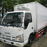 Isuzu 100p Single Double Row Light Cargo Lorry Van Truck