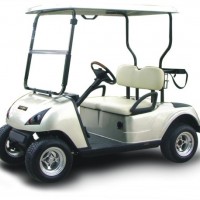China Manufacture 2 Seater Golf Buggy Electric with Ce (DG-C2-5)