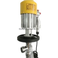Electric Drive SS316L Drum Pump for 200L Standard Drum (HD-EX2-V+SS316L-1000HP)