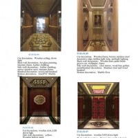 Asai FUJI 1000kg Small Home Glass Elevator Lift Price in China